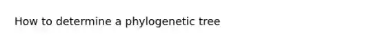 How to determine a phylogenetic tree