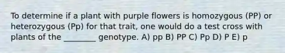 To determine if a plant with purple flowers is homozygous (PP) or heterozygous (Pp) for that trait, one would do a test cross with plants of the ________ genotype. A) pp B) PP C) Pp D) P E) p