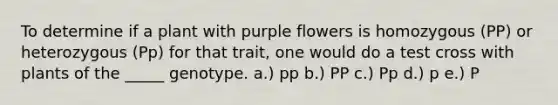 To determine if a plant with purple flowers is homozygous (PP) or heterozygous (Pp) for that trait, one would do a test cross with plants of the _____ genotype. a.) pp b.) PP c.) Pp d.) p e.) P