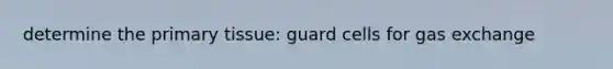 determine the primary tissue: guard cells for <a href='https://www.questionai.com/knowledge/kU8LNOksTA-gas-exchange' class='anchor-knowledge'>gas exchange</a>