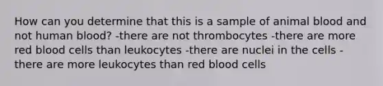 How can you determine that this is a sample of animal blood and not human blood? -there are not thrombocytes -there are more red blood cells than leukocytes -there are nuclei in the cells -there are more leukocytes than red blood cells