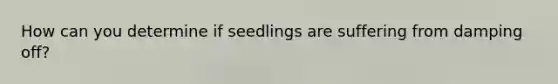 How can you determine if seedlings are suffering from damping off?