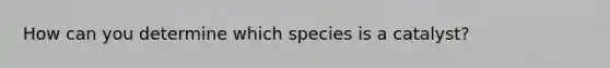 How can you determine which species is a catalyst?