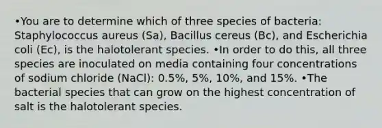 •You are to determine which of three species of bacteria: Staphylococcus aureus (Sa), Bacillus cereus (Bc), and Escherichia coli (Ec), is the halotolerant species. •In order to do this, all three species are inoculated on media containing four concentrations of sodium chloride (NaCl): 0.5%, 5%, 10%, and 15%. •The bacterial species that can grow on the highest concentration of salt is the halotolerant species.