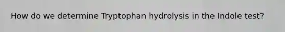 How do we determine Tryptophan hydrolysis in the Indole test?