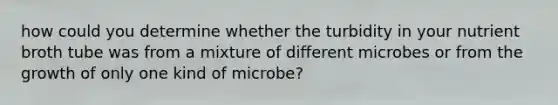 how could you determine whether the turbidity in your nutrient broth tube was from a mixture of different microbes or from the growth of only one kind of microbe?