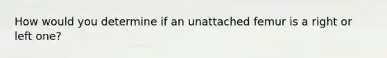 How would you determine if an unattached femur is a right or left one?