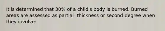 It is determined that 30% of a child's body is burned. Burned areas are assessed as partial- thickness or second-degree when they involve: