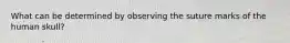 What can be determined by observing the suture marks of the human skull?