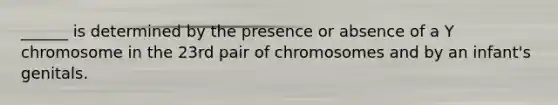 ______ is determined by the presence or absence of a Y chromosome in the 23rd pair of chromosomes and by an infant's genitals.