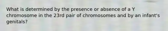 What is determined by the presence or absence of a Y chromosome in the 23rd pair of chromosomes and by an infant's genitals?