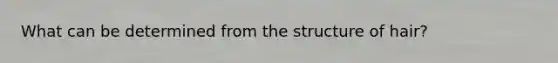 What can be determined from the structure of hair?