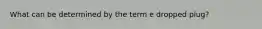 What can be determined by the term e dropped plug?