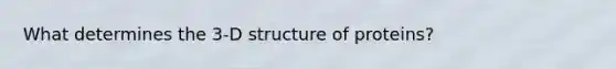 What determines the 3-D structure of proteins?