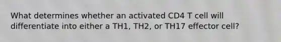 What determines whether an activated CD4 T cell will differentiate into either a TH1, TH2, or TH17 effector cell?