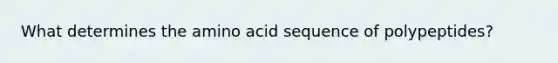 What determines the amino acid sequence of polypeptides?