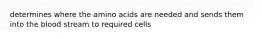 determines where the amino acids are needed and sends them into the blood stream to required cells