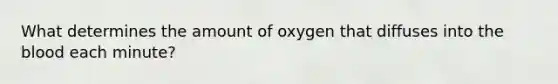 What determines the amount of oxygen that diffuses into <a href='https://www.questionai.com/knowledge/k7oXMfj7lk-the-blood' class='anchor-knowledge'>the blood</a> each minute?