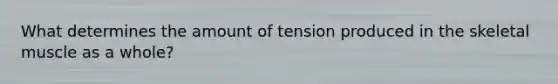 What determines the amount of tension produced in the skeletal muscle as a whole?