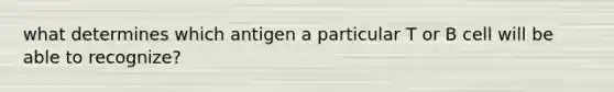 what determines which antigen a particular T or B cell will be able to recognize?