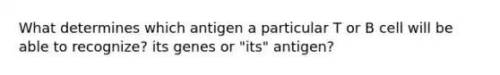 What determines which antigen a particular T or B cell will be able to recognize? its genes or "its" antigen?