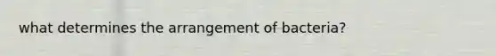 what determines the arrangement of bacteria?