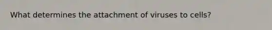 What determines the attachment of viruses to cells?