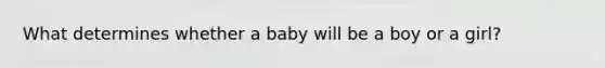 What determines whether a baby will be a boy or a girl?