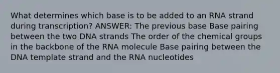 What determines which base is to be added to an RNA strand during transcription? ANSWER: The previous base Base pairing between the two DNA strands The order of the chemical groups in the backbone of the RNA molecule Base pairing between the DNA template strand and the RNA nucleotides