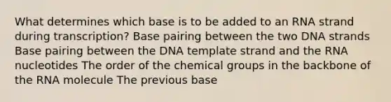 What determines which base is to be added to an RNA strand during transcription? Base pairing between the two DNA strands Base pairing between the DNA template strand and the RNA nucleotides The order of the chemical groups in the backbone of the RNA molecule The previous base