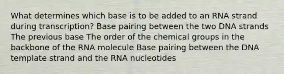 What determines which base is to be added to an RNA strand during transcription? Base pairing between the two DNA strands The previous base The order of the chemical groups in the backbone of the RNA molecule Base pairing between the DNA template strand and the RNA nucleotides