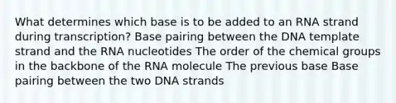 What determines which base is to be added to an RNA strand during transcription? Base pairing between the DNA template strand and the RNA nucleotides The order of the chemical groups in the backbone of the RNA molecule The previous base Base pairing between the two DNA strands