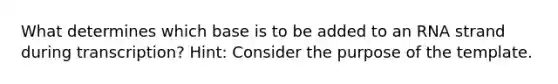 What determines which base is to be added to an RNA strand during transcription? Hint: Consider the purpose of the template.