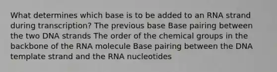 What determines which base is to be added to an RNA strand during transcription? The previous base Base pairing between the two DNA strands The order of the chemical groups in the backbone of the RNA molecule Base pairing between the DNA template strand and the RNA nucleotides