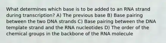 What determines which base is to be added to an RNA strand during transcription? A) The previous base B) Base pairing between the two DNA strands C) Base pairing between the DNA template strand and the RNA nucleotides D) The order of the chemical groups in the backbone of the RNA molecule