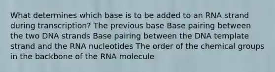 What determines which base is to be added to an RNA strand during transcription? The previous base Base pairing between the two DNA strands Base pairing between the DNA template strand and the RNA nucleotides The order of the chemical groups in the backbone of the RNA molecule