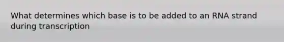 What determines which base is to be added to an RNA strand during transcription