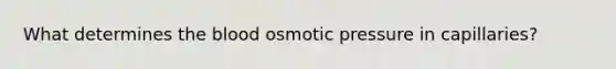 What determines the blood osmotic pressure in capillaries?