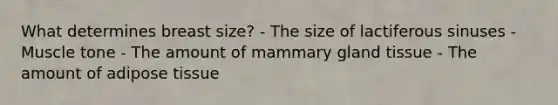 What determines breast size? - The size of lactiferous sinuses - Muscle tone - The amount of mammary gland tissue - The amount of adipose tissue