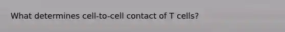 What determines cell-to-cell contact of T cells?