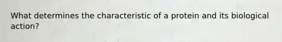 What determines the characteristic of a protein and its biological action?