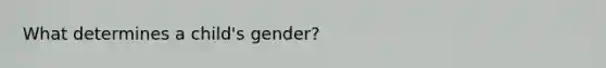 What determines a child's gender?