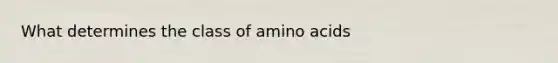 What determines the class of amino acids