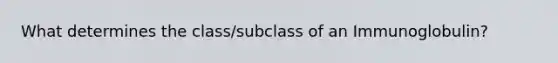 What determines the class/subclass of an Immunoglobulin?