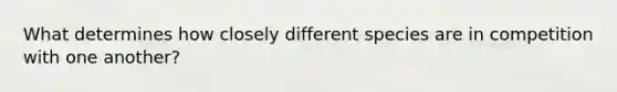 What determines how closely different species are in competition with one another?