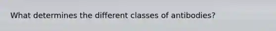 What determines the different classes of antibodies?