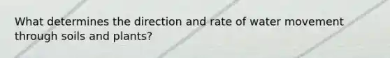What determines the direction and rate of water movement through soils and plants?
