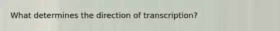 What determines the direction of transcription?