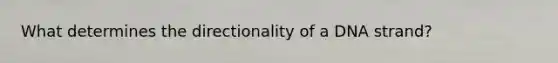 What determines the directionality of a DNA strand?