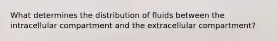 What determines the distribution of fluids between the intracellular compartment and the extracellular compartment?